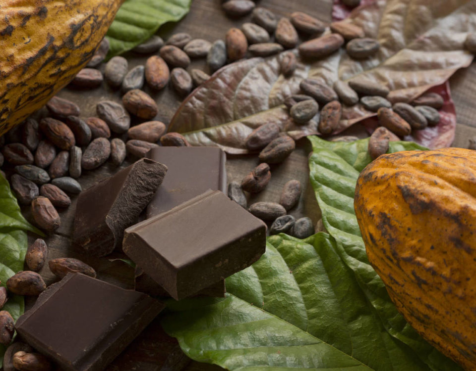 Cacao-y-chocolate